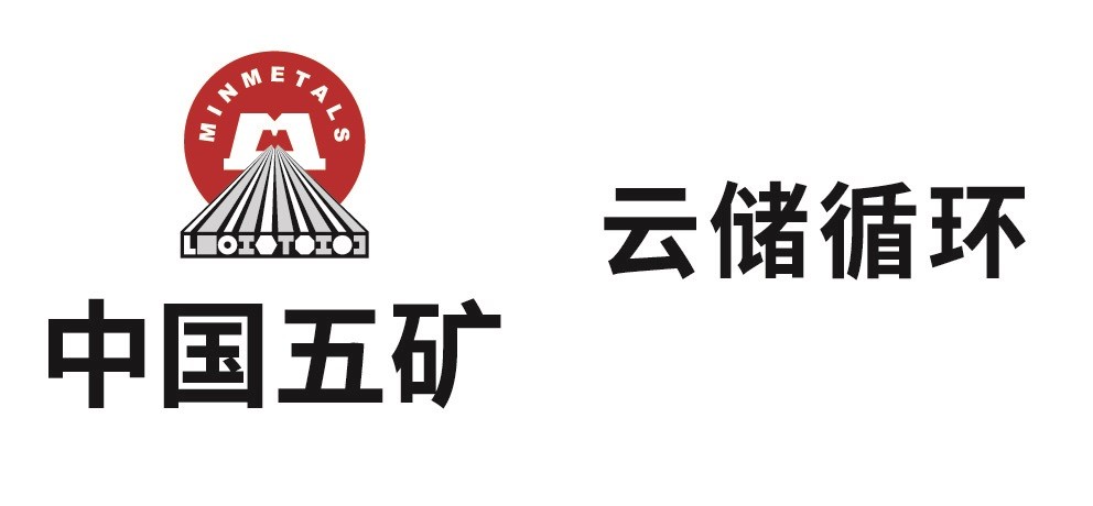 湖南云儲循環(huán)新能源科技有限公司，新能源汽車廢舊動力蓄電池回收及梯次利用（不含危險廢物經營）；電池銷售；蓄電池租賃；儲能技術服務；技術服務、技術開發(fā)、技術咨詢、技術交流、技術轉讓、技術推廣；貨物進出口；輸配電及控制設備制造；智能輸配電及控制設備銷售；軟件開發(fā)；大數(shù)據(jù)服務；再生資源加工；再生資源銷售。