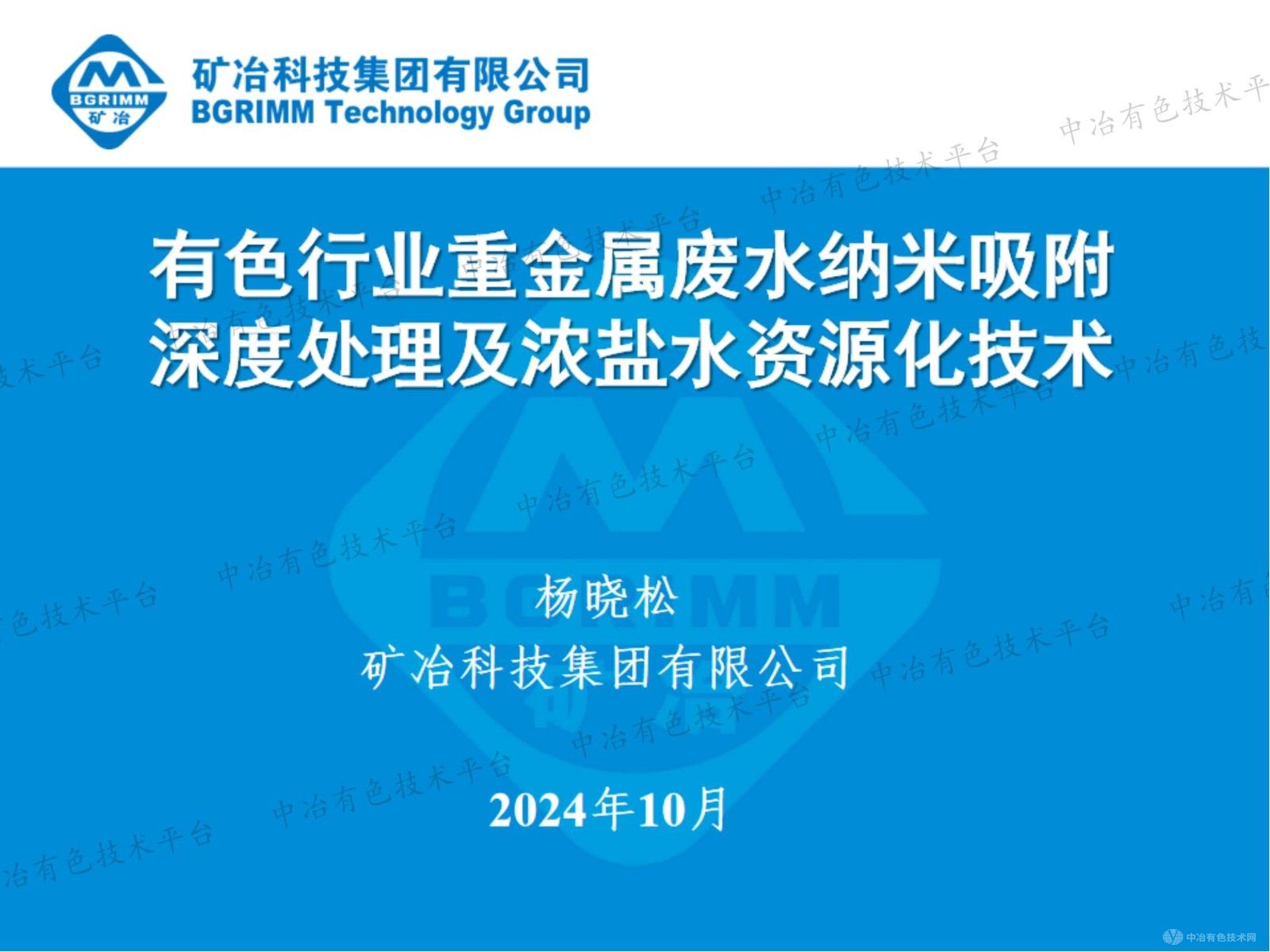 有色行業(yè)重金屬廢水納米吸附深度處理及濃鹽水資源化技術(shù)